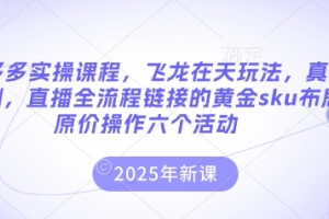 学习拼多多实操课程，掌握飞龙在天玩法，实战案例直播全流程，黄金sku布局原价操作六项活动