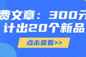 设计新品：20款独家产品，仅需300元