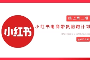 未来之路:2025小红书虚拟电商实战课,AI 爆款笔记助你打造无货源店铺,轻松变现