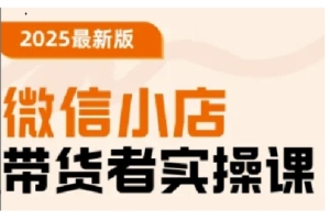 2025最新版微信小店带货者实操课：从初级到专家级，轻松掌握快速运营技巧