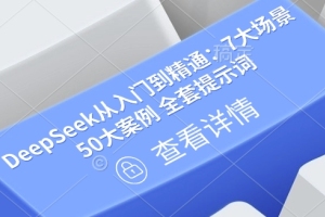 深度搜索技巧：实战指南及案例解析【详细文档】