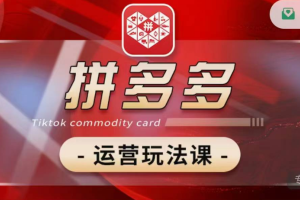 老陶电商拼多多运营新玩法揭秘，高阶群爆款策略分享【2月最新】，轻松复制成功商业模式