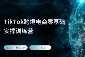 TikTok跨境电商实操训练营:打造黑马商机