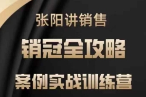 提升销售技能，张阳案例实战训练全方位指导