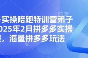 2025年2月泓一弟子班拼多多实操课程,全面掌握海量拼多多玩法