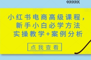 小红书电商高级课程：从零基础到实战技巧