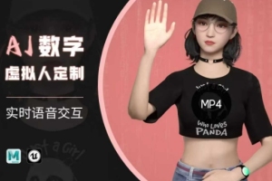 个性化虚拟智能体实时语音特训，定制超写实AI数字人互动技巧训练营