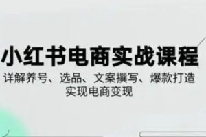 小红书电商变现实操课：戴小胖带你掌握养号技巧、选品秘籍、文案撰写窍门、爆款打造策略