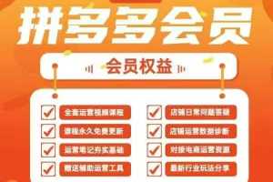未来五年:深度学习拼多多运营技巧,打造仙道电商2025优势链路