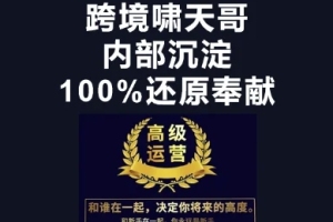 漫威跨境特训营-打造电商王者的秘籍