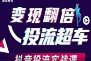 实战技巧揭秘，抖音投放助你变现翻倍