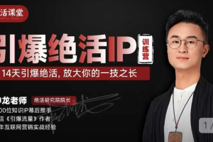 坤龙老师带你掌握绝活IP,14天内放大你的专长