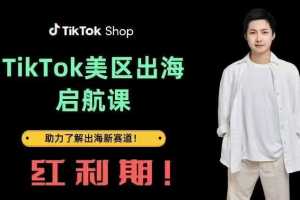 大王真TikTok出海启航课(美区)：探索出海红利新风向