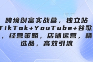 国际电商实操指南:利用独立站和社交媒体广告打造全球销售渠道