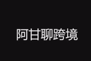 阿甘·亚马逊跨境电商选品案例(2021年最新更新)
