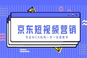 京东短视频营销项目，专业MCN机构个性化指导实战技巧