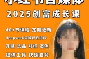 小红书电商自媒体创业新趋势：实战打卡笔记训练营2.0版