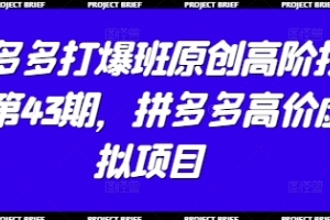 拼多多高价虚拟项目:叮当学院第43期技术培训大揭秘