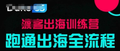 掌握出海成功的关键步骤，实战案例详解