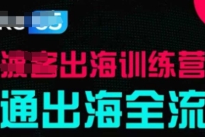 掌握出海成功的关键步骤，实战案例详解