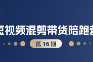 利用盗坤抖音小红书视频号短视频带货与直播变现，打造爆款内容，实现高效赚钱