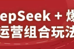 秋秋DeepSeek 爆品运营组合玩法，2025淘系精品课