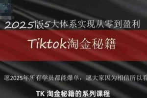 未来五年,TikTok如何实现盈利?深度解读2025年TikTok的变现之路