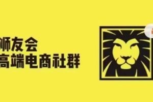 电商巨头分享成功经验：各行业千万级亿级大佬揭秘
