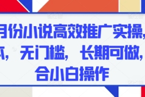 五月小说推广新技巧，轻松操作，长期受益【实用指南】