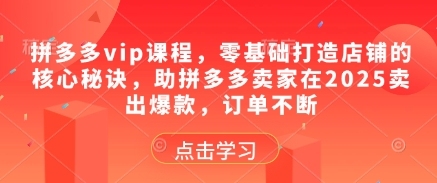 揭秘拼多多vip课程的独门秘籍,让卖家2025年轻松卖出爆款!