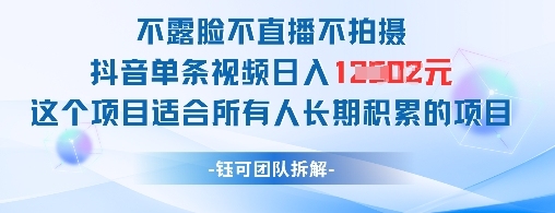 揭秘：如何在抖音上每日赚取1000元而不露脸、不直播、不拍摄？【长期积累项目】