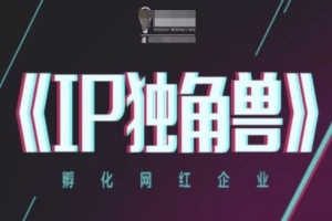 打造网红帝国：IP孵化术详解