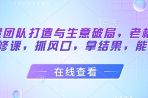 老板必修：流量团队打破生意瓶颈，抓住风口实现落地效果