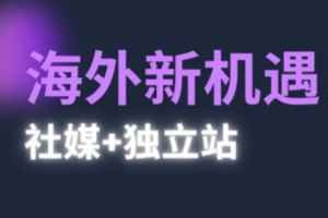 2025年的棕榈：海外新机遇和独立站的运营策略