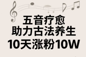 掌握古法五音养生，轻松学习五音疗愈视频制作技巧，10天内涨粉10W【全面揭秘】