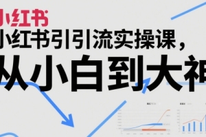 学会利用小红书进行引流的实践课，带你从零到高手