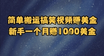 轻松赚钱：搬运搞笑视频新手月入1k美金【实用技巧揭秘】