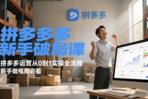 大海-拼多多新手破局课,拼多多运营从0到1实操全流程,新手做电商必看