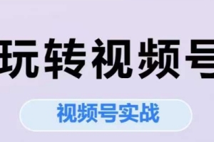 艾乐-玩转视频号，视频号实战系列课