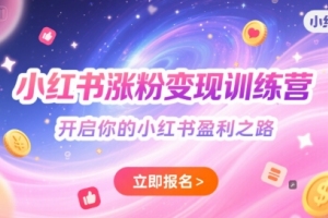 学习如何在小红书上增加粉丝并实现收益，开启你的社交电商之路