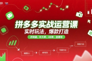推易电商拼多多实战运营课，实时玩法，爆款打造，改销量，补大单，AB单，直播等（更新2025月）