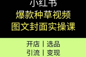 小红书爆款种草视频实操全流程，助你开店、选品、引流、变现