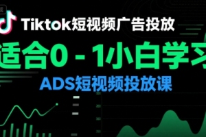 TikTok短视频广告投放指南，助您轻松掌握ADS短视频投放技巧