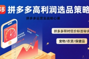 揭秘久号老师的拼多多高利润选品策略