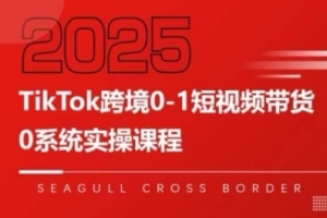 大亿老师TikTok短视频带货全链路解析，实现跨境盈利可持续化