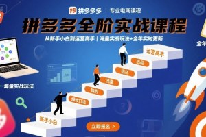 拼多多运营高手全程指导，2025年最新实战课程【9月更新】