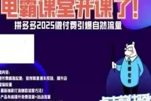 2025年电霸学堂微付赛：如何利用自然流量打爆品并实现微付费？
