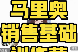 打造销售之路:马里奥的销售技巧训练