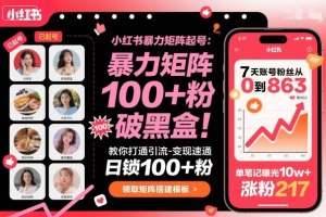 小红书暴力矩阵起号,教你打通引流-变现速通,日锁100 粉,破流量黑盒
