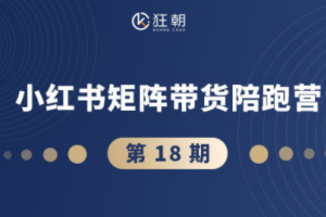 盗坤·抖音小红书视频号短视频带货与直播变现（11-18期）